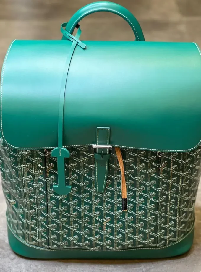 Goyard Back Pack 2000-6